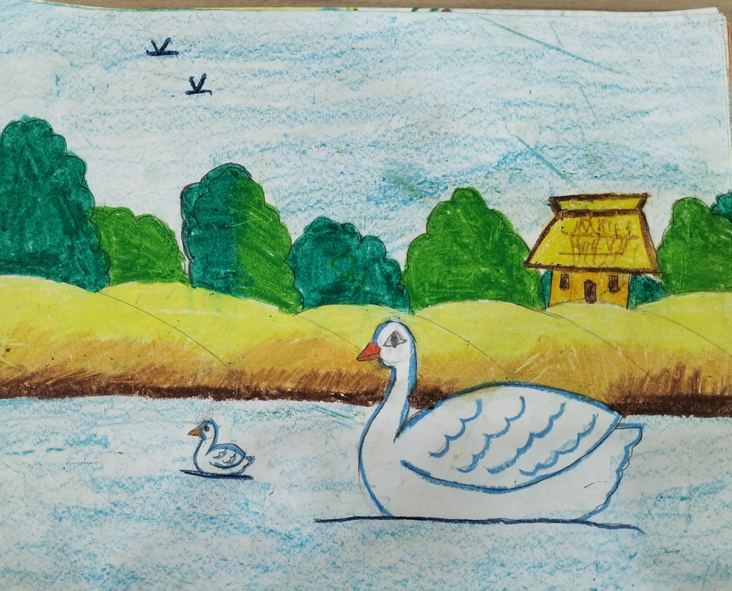 Drawing
