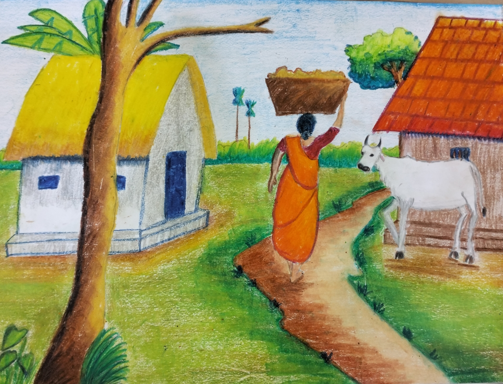 Drawing