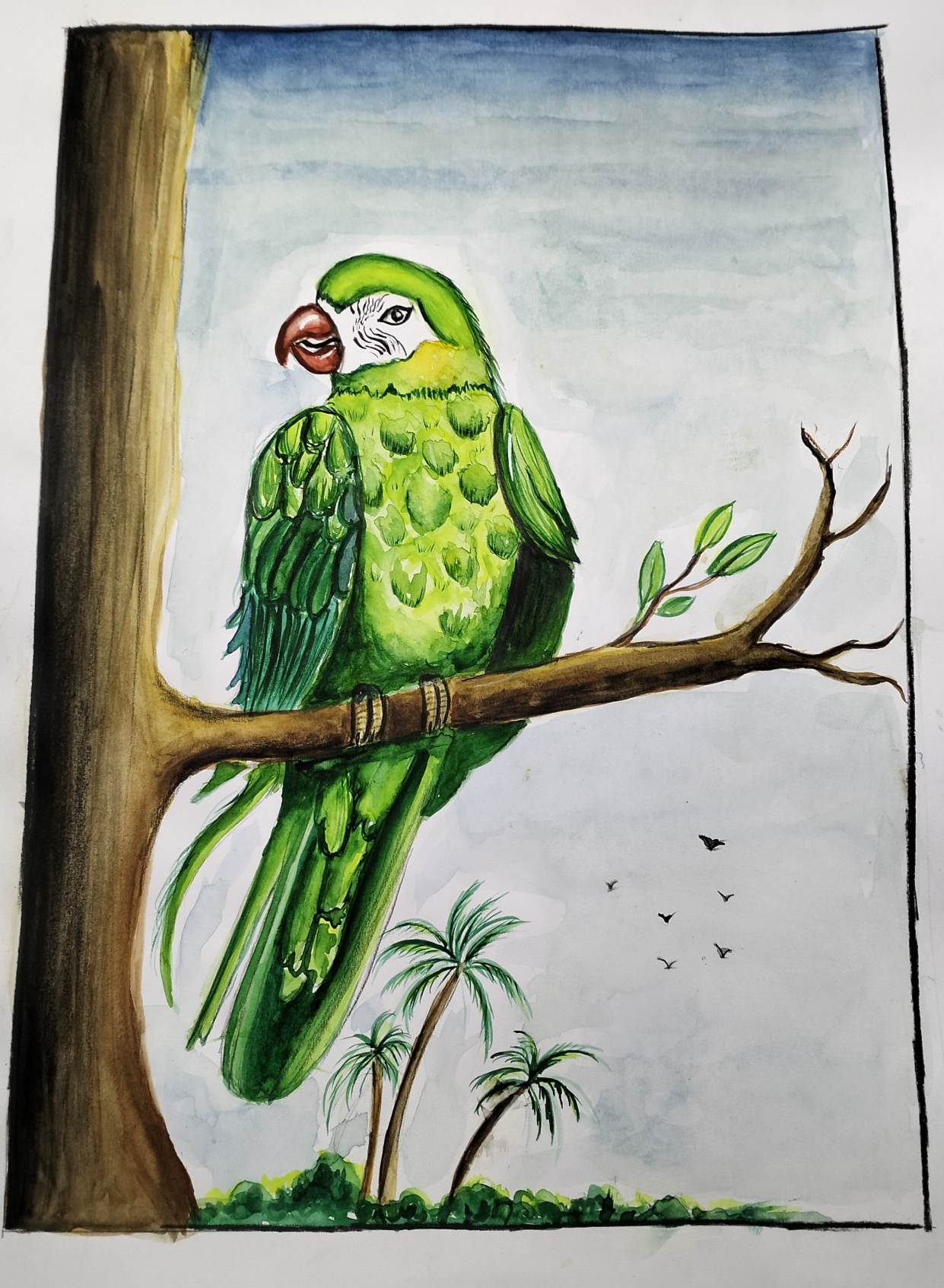 Drawing